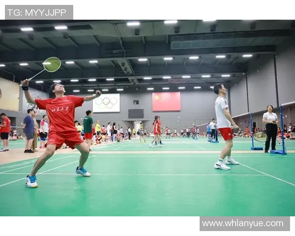 赛后分析：北京羽毛球队与深圳羽毛球队的默契配合与战术探讨