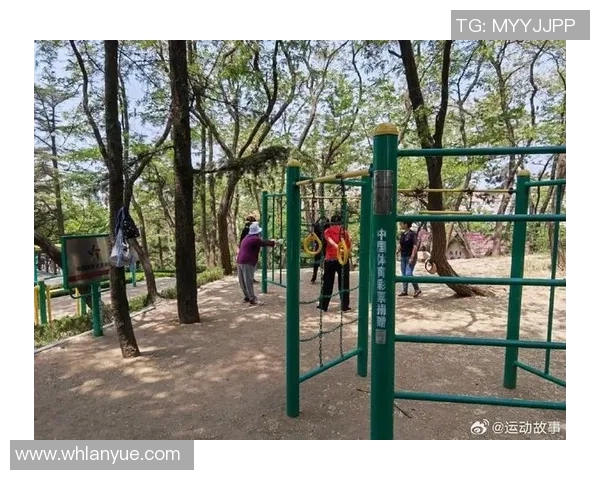 路边健身器材的普及与健康效果