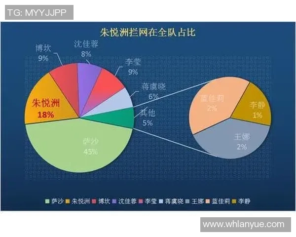 深圳排球队个人能力深度对比分析与发展潜力探讨